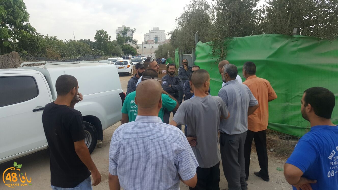 WhatsApp Image 2017-08-09 at 07.54.40.jpeg